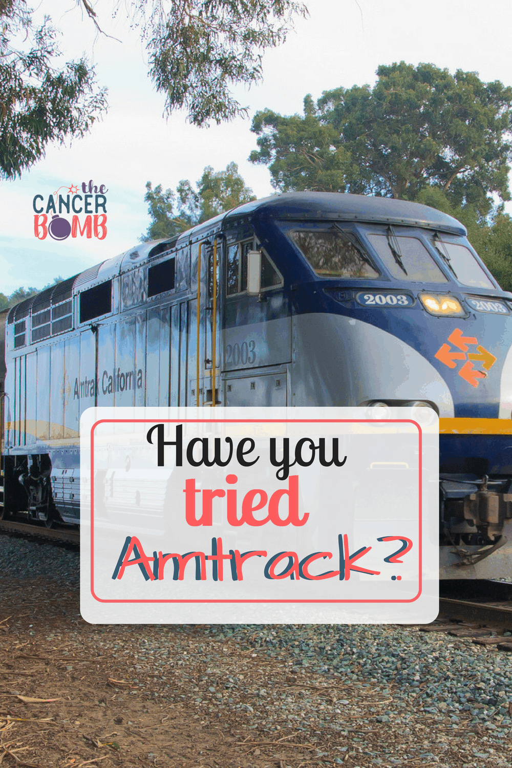  If your destination is NYC, Amtrak is the absolute best idea for getting in and out of the City as easy as possible. #amtrack #destinationNYC #takeatrain #giveamtrackatry #easierwaystotravel #redcap
