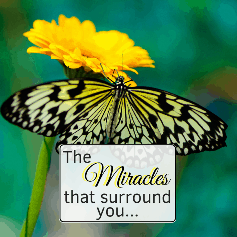 The Miracles that Surround You…