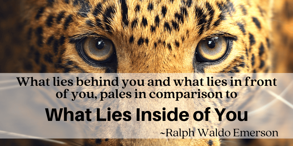 Tiger staring straight at the camera.  Text says What lies behind you and what lies in front of you, pales in comparison to What Lies Inside of You ~Ralph Waldo Emerson